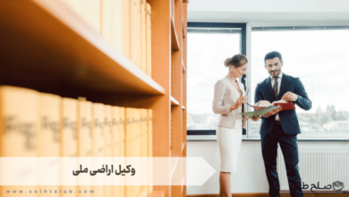 وکیل اراضی ملی