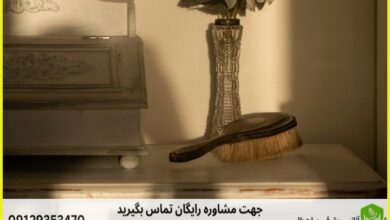 d8b5d984d8ad d8b7d984d8a8d8afdb8cd988d8a7d986 d8b9d8afd8a7d984d8aa d8a7d8afd8a7d8b1db8c d8a2d8b4d8aed8a7d986d987 d988daa9db8cd984